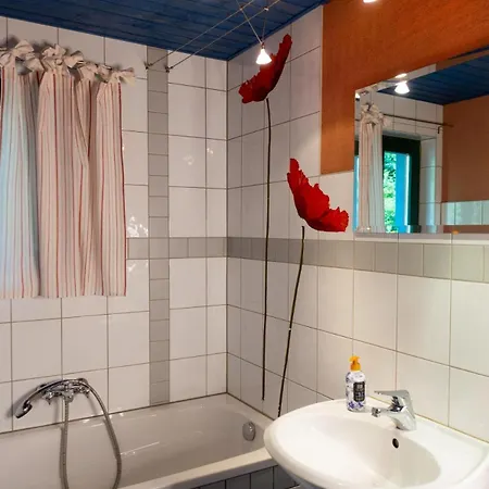 Waldhaus Im Erzgebirge Apartment *
