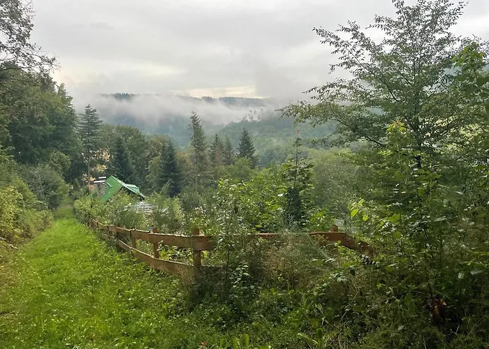 Waldhaus Im Erzgebirge *