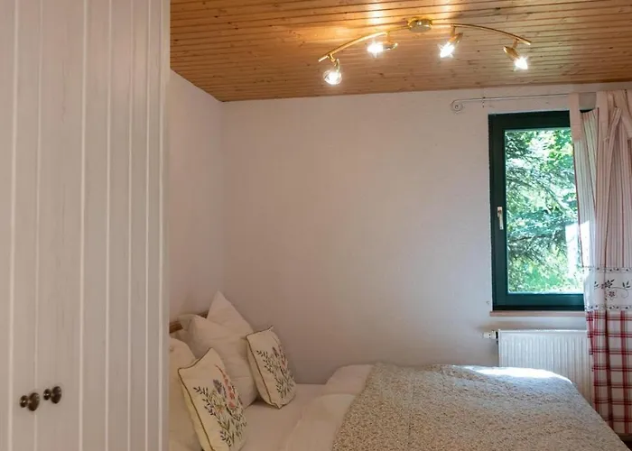 Waldhaus Im Erzgebirge