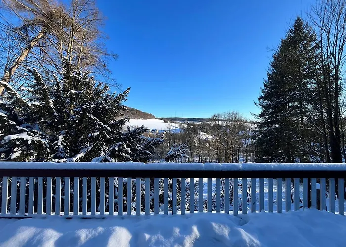 Waldhaus Im Erzgebirge Апартаменты *